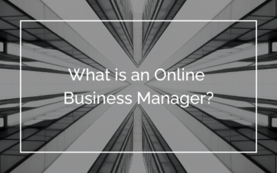 What is an Online Business Manager?